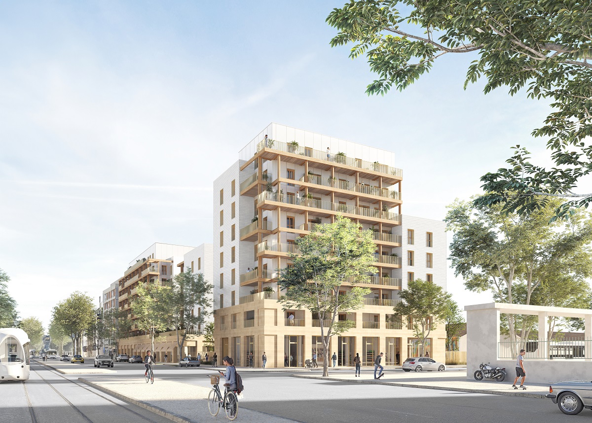 36_debourg_est_sans-arbre.jpg