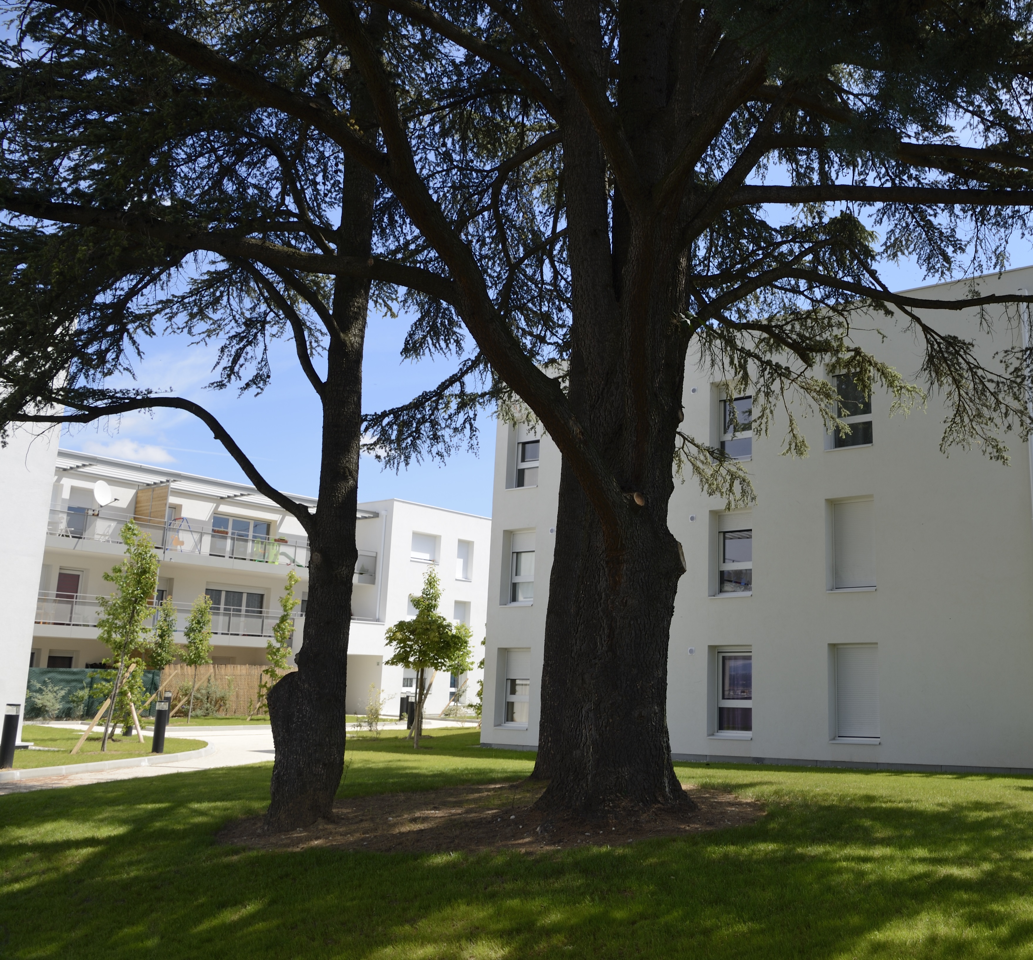FEYZIN_ RESIDENCE LE CEDRE_05.jpg